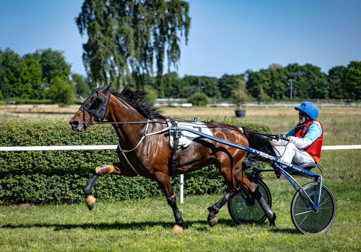 STRATEGY PURINA 25kg