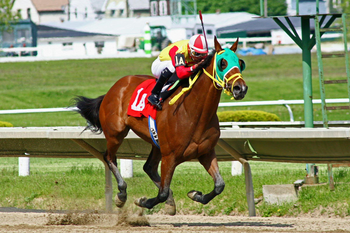 STRATEGY PURINA 25kg