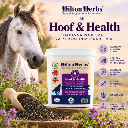HILTON HERBS VITAMINSKO-MINERALNI DODATEK Hoof and Health