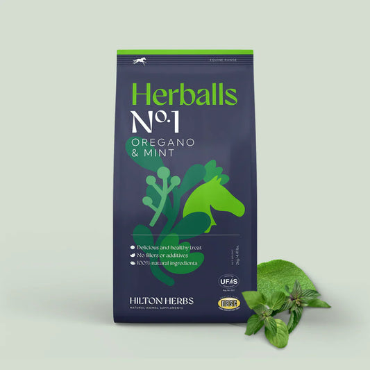 HILTON HERBS Herballs N°. 1 Oregano & Mint