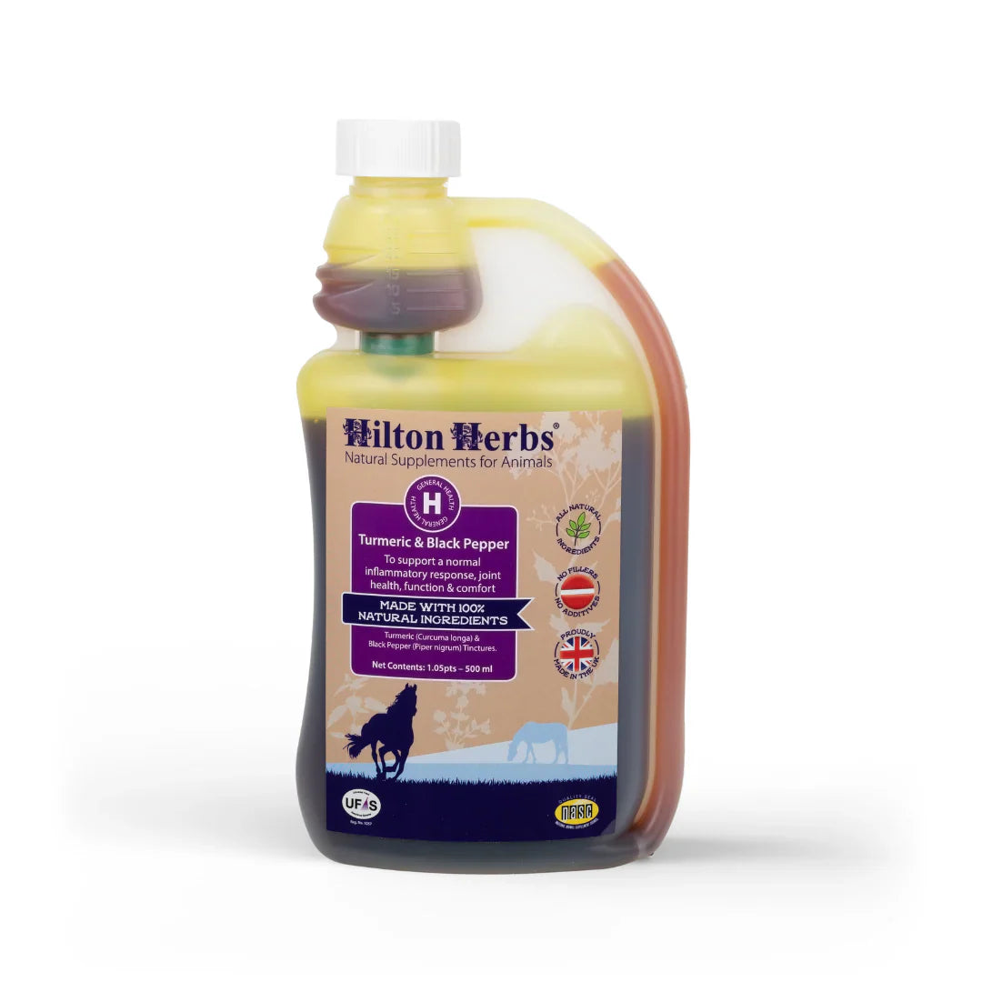 HILTON HERBS Kurkuma in črni poper tinktura 1l